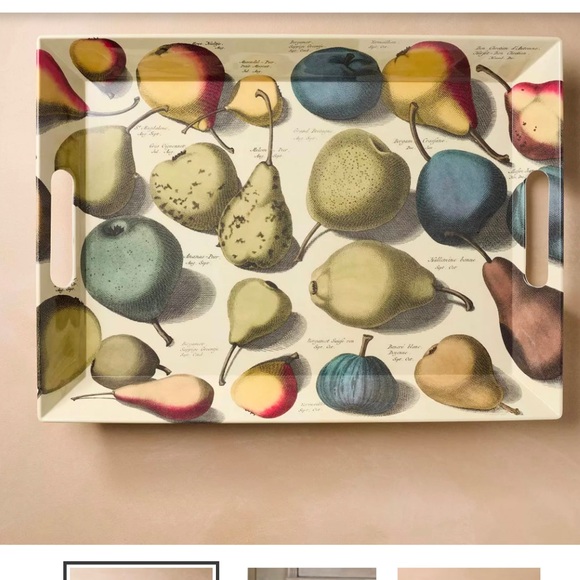 NWT Pears Melamine Rectangle Serving Tray - John Derian Company - Picture 1 of 11